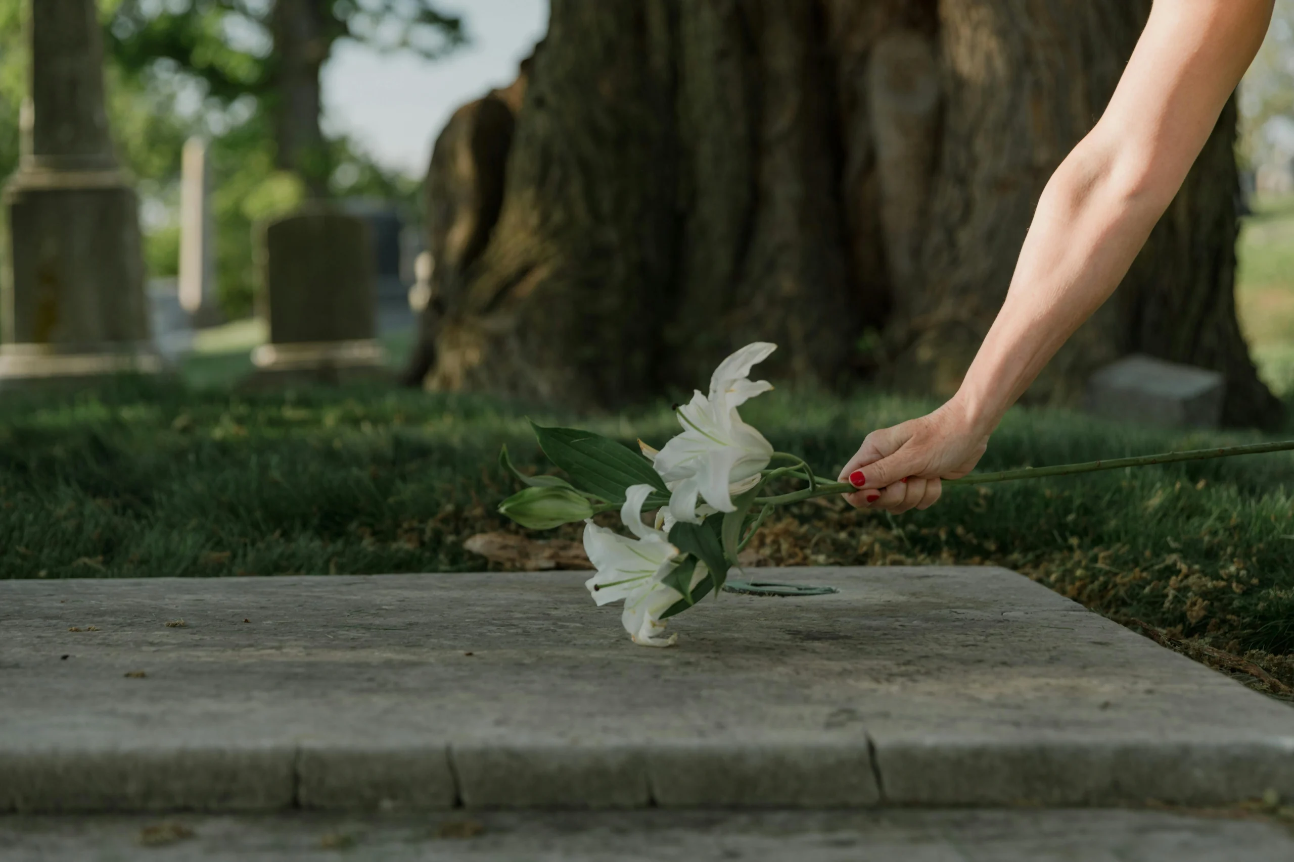 SEO para Funerarias